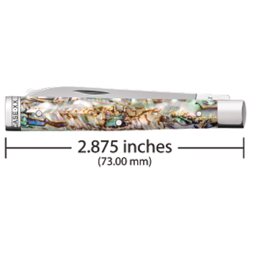 Abalone - Smooth Baby Doc 8282SP SS - Image 2