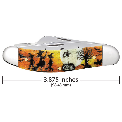 Bose Halloween Natural Bone Smooth Color Wash Sowbelly TB6339 SS - Image 2
