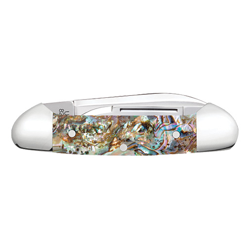 Abalone Smooth Baby Butterbean 82132 SS - Image 4