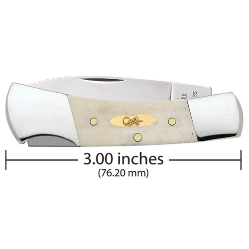 Smooth Natural Bone Lockback 61225L SS - Image 2